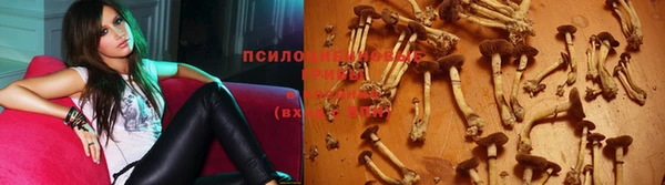 прущий лед Заводоуковск