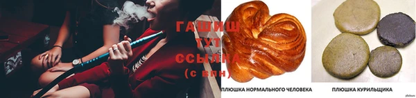 прущий лед Заводоуковск
